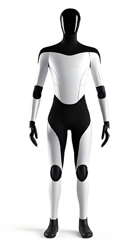 Humanoid robotics application